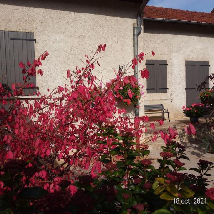 Maison Aux Portes Du Centre Historique De Dijon Avec 3 Chambres Et Garage Ngoại thất bức ảnh